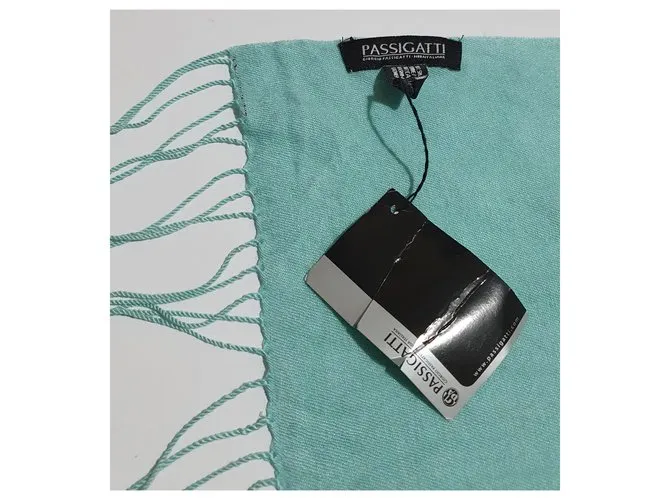 Autre Marque Bufandas Azul 