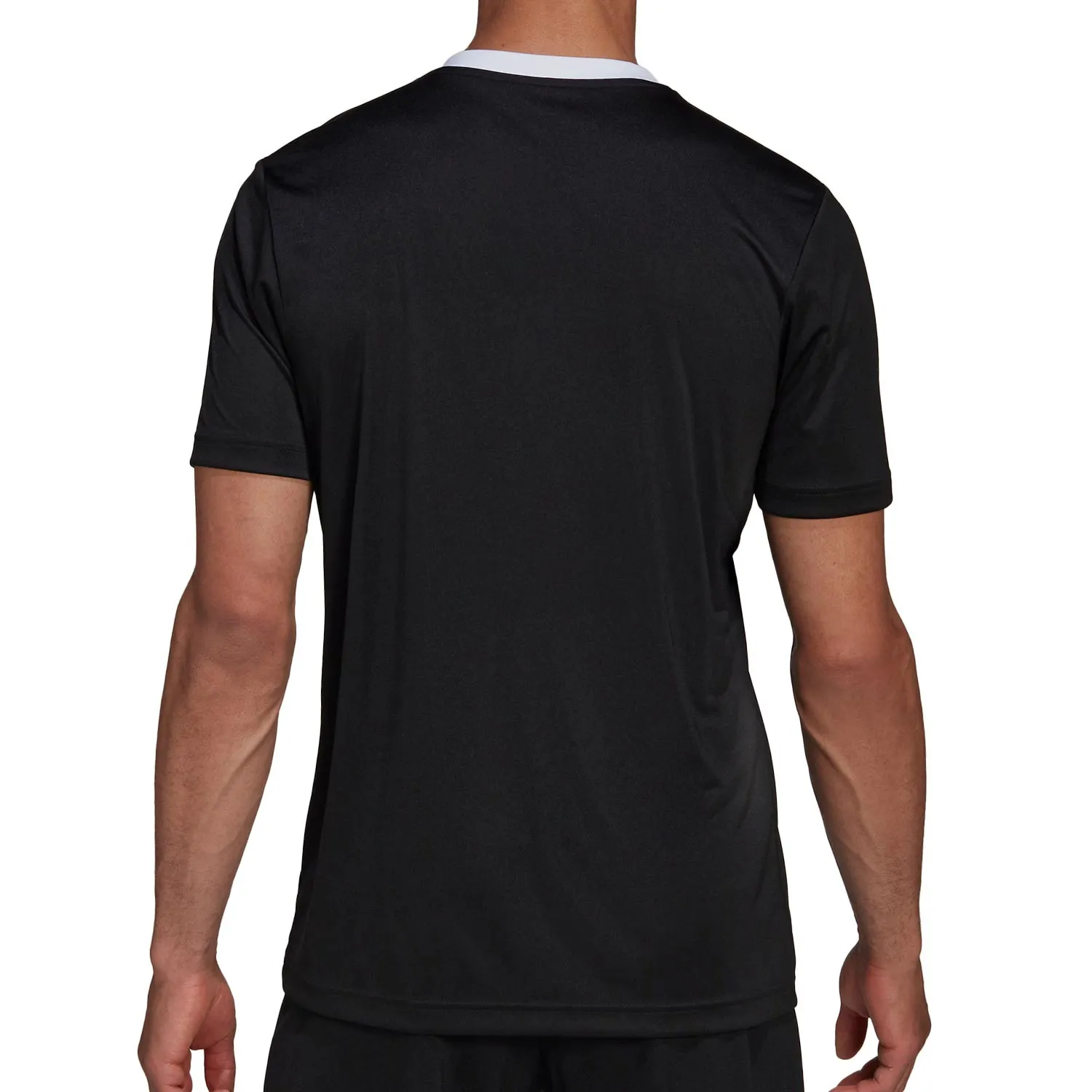 Camiseta adidas Entrada 22