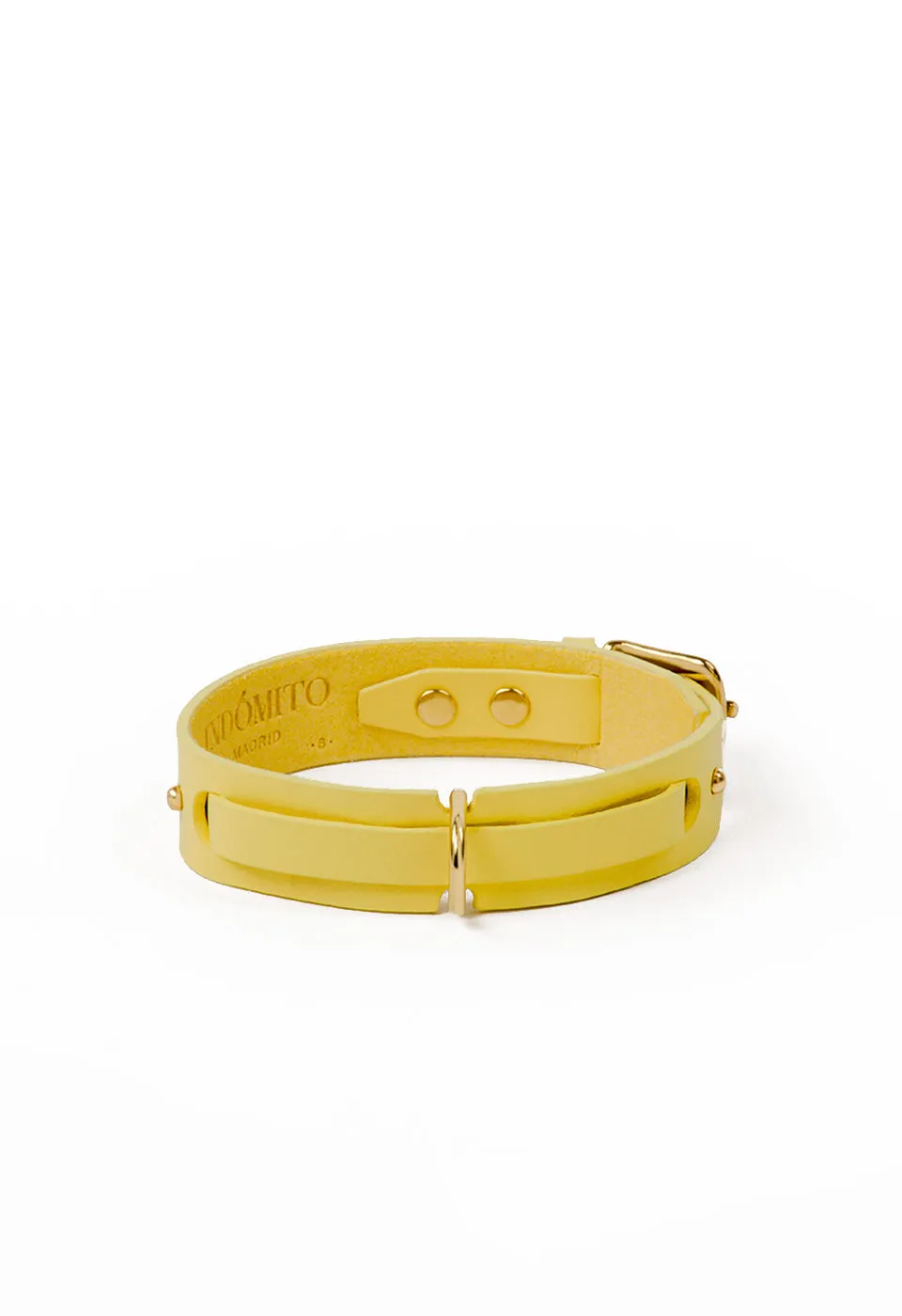 Collar Perro