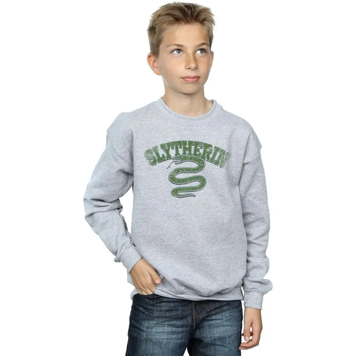 Slytherin Sport Emblem