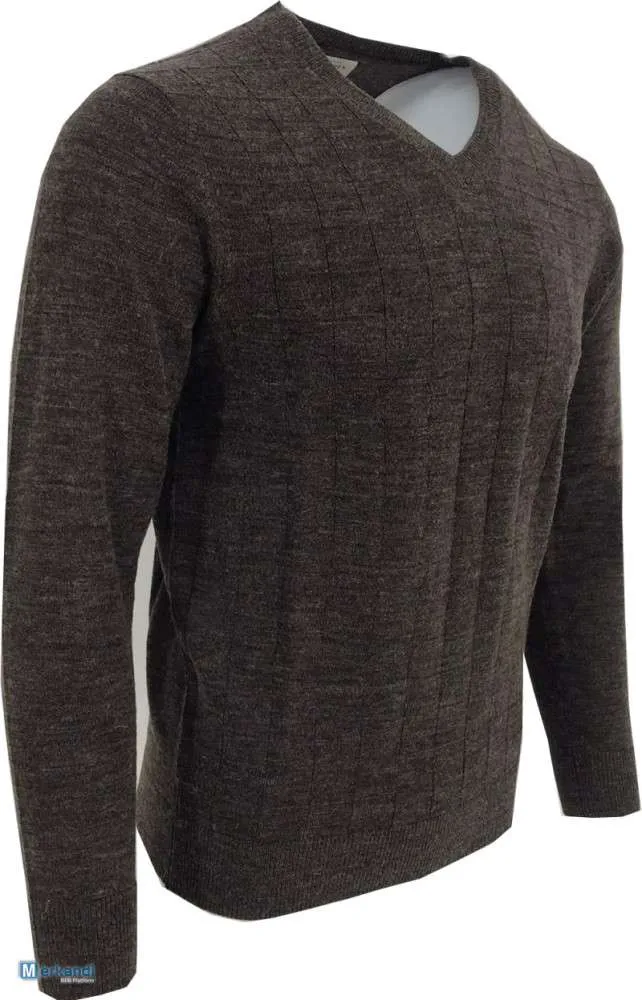 Suéter con cuello en V para hombre Sfera Men Wool Bland