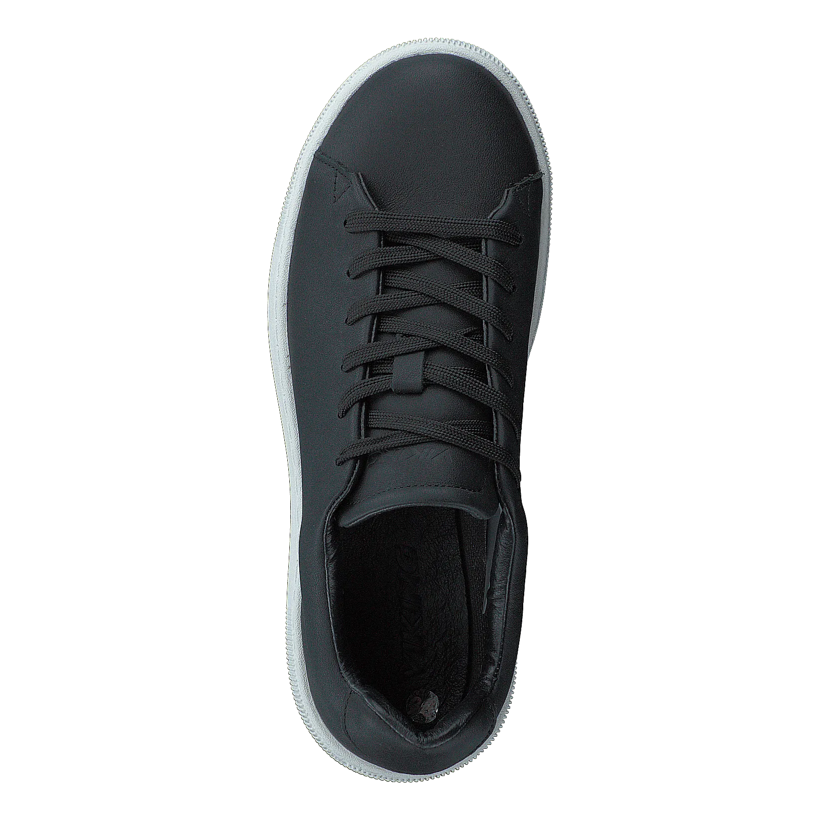 Viking Rainbow Warrior Black/white